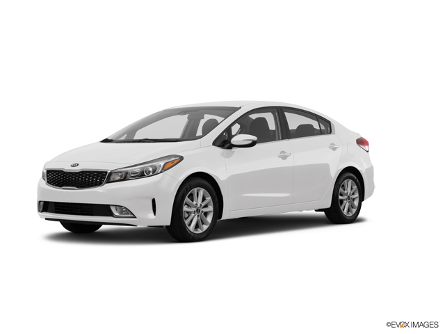 Forte Car Insurance