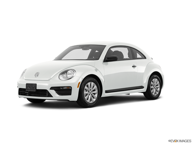 Beetle Car Insurance