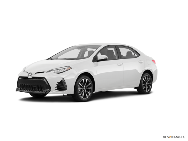 Corolla Car Insurance