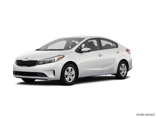 Forte Car Insurance