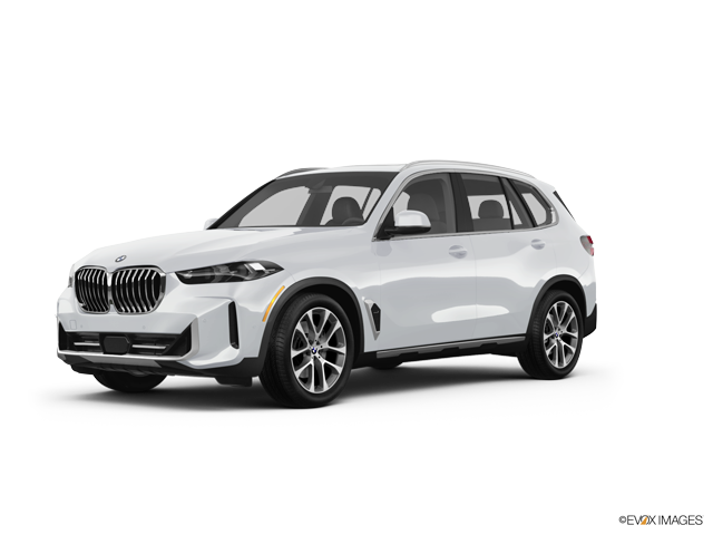 BMW X5 Car Image