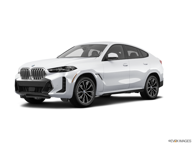 BMW X6 Car Image