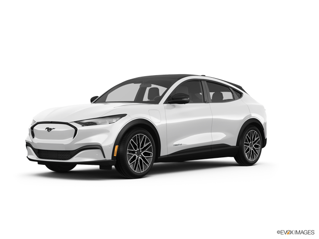 Ford Mustang Mach-E Car Image