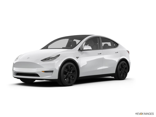 Model Y Car Insurance