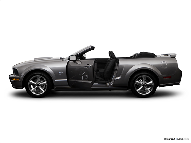 2009 Ford Mustang's photo